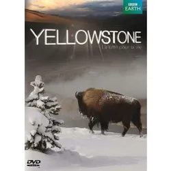 dvd yellowstone, la lutte pour la vie