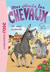 livre mes amis les chevaux tome 4 - un rival inattendu