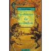 livre la chanson du troubadour - le roman de jaufré