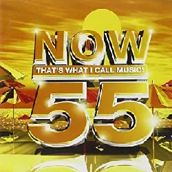 cd various - now that's what i call music! 55 (2003)