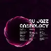 cd various - nu jazz anthology - the best of nu jazz (2007)