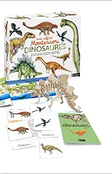 livre mon coffret montessori dinosaures - dès 5 ans