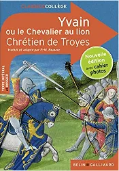 livre yvain ou le chevalier au lion