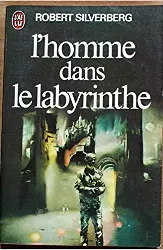 livre l'homme dans le labyrinthe - the man in the maze