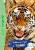 livre wild immersion tome 2 - expédition au pays des tigres