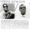 cd stevie wonder - song review - a greatest hits collection