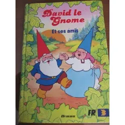 livre david le gnome et ses amis