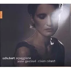 cd franz schubert - arpeggione (2005)