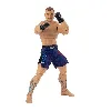 figurine ufc donald cerrone