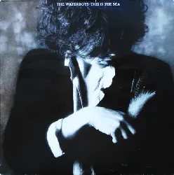 vinyle the waterboys - this is the sea (1985)