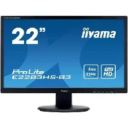 ecran 22" iiyama e2200ws