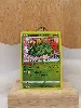 carte pokemon florizarre radieux 004/078