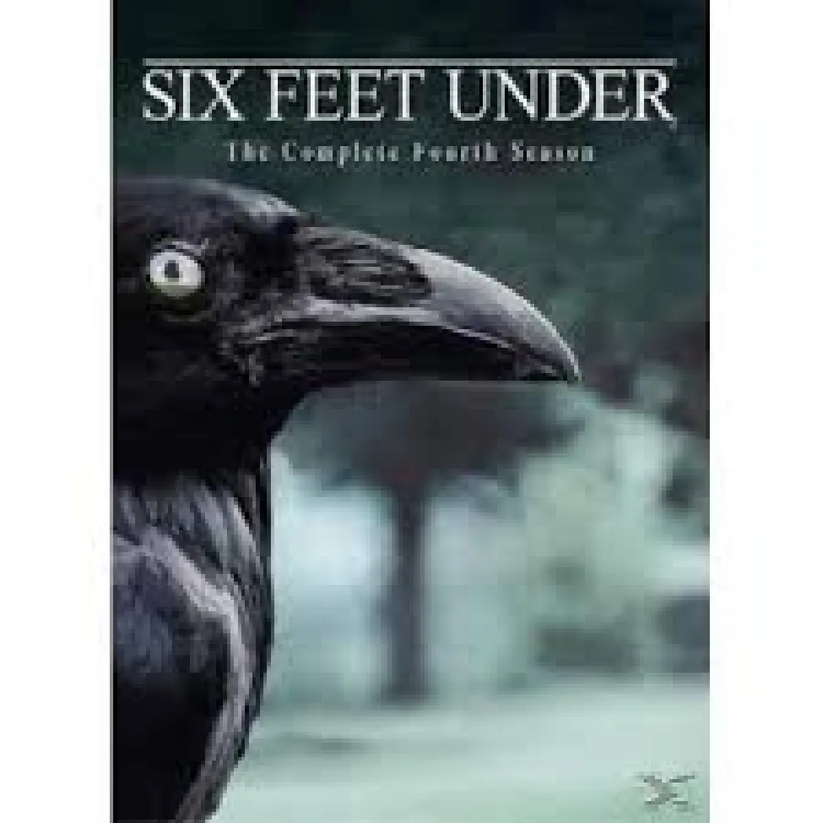 Dvd Six Feet Under The Complete Fourth Series - Dealicash