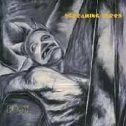 cd screaming trees - dust (1996)