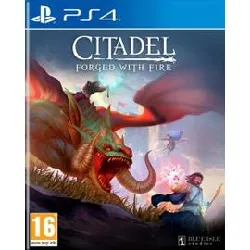 jeu ps4 citadel forged with fire ps4