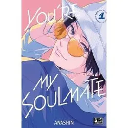 livre you're my soulmate - tome 1