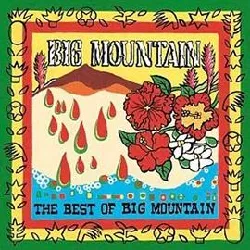 cd big mountain - the best of big mountain (1998)