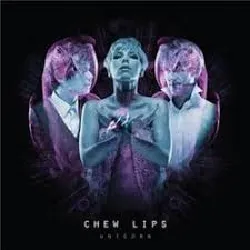 cd chew lips - unicorn (2010)