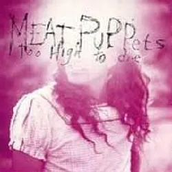 cd meat puppets - too high to die (1994)