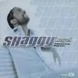 cd shaggy - angel (2001)