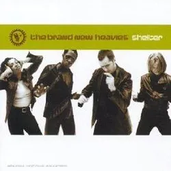 cd the brand new heavies - shelter (1997)