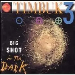 cd timbuk 3 - big shot in the dark (1991)