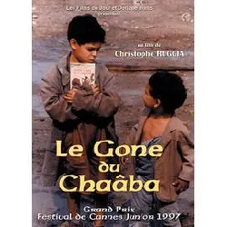 dvd le gone du chaâba