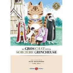 livre gros chat et la sorcière grincheuse (le) - tome 5