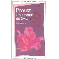 livre un amour de swann