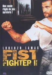 dvd fist fighter 2