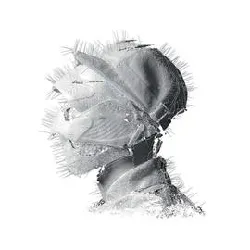 cd woodkid - the golden age (2013)