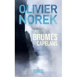 livre dans les brumes de capelans