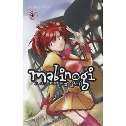 livre mabinogi - tome 4