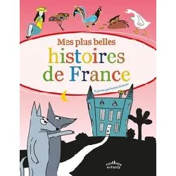 livre mes plus belles histoires de france