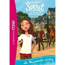 livre spirit 22 - des juments rebelles