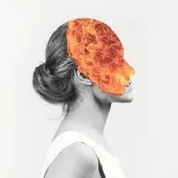 cd agent fresco - destrier (2015)