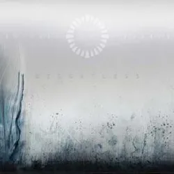 cd animals as leaders - weightless (2011)