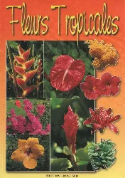 livre fleurs tropicales