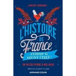 livre l'histoire de france comme si vous y étiez ! - du paléolithique à nos jours