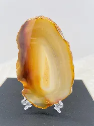 tranche d'agate naturelle t0,5*9*13