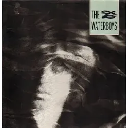 vinyle the waterboys - the waterboys