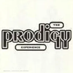 cd the prodigy - experience (1992)