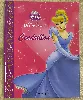 livre disney mon club princesse - cendrillon - hachette