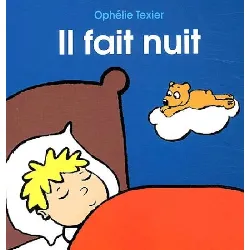 livre il fait nuit - ophélie texier