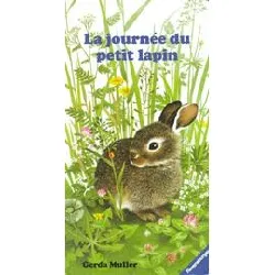 livre la journee du petit lapin