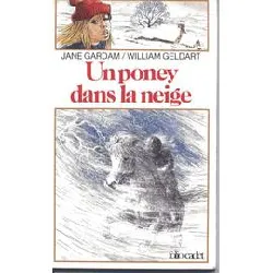 livre un poney dans la neige