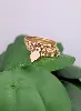 bague semainier ornée un motif coeur pendant or 750 millième (18 ct) 4,09g