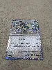 carte pokémon draïeul 015/015 holo