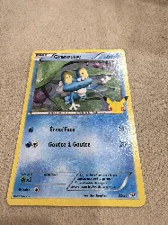 carte pokémon grenousse 22/25