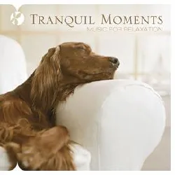 cd k. fedeux - tranquil moments (2010)